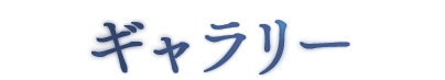 ギャラリー