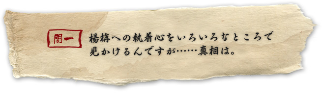 楊栴への執着心をいろいろなところで見かけるんですが……真相は。