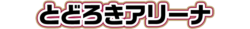 とどろきアリーナ