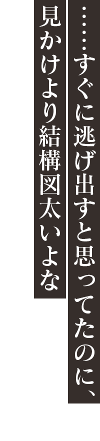 「……すぐに逃げ出すと思ってたのに、見かけより結構図太いよな」