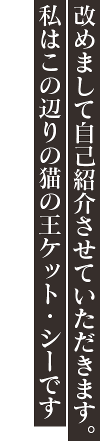 「改めまして自己紹介させていただきます。私はこの辺りの猫の王ケット・シーです」