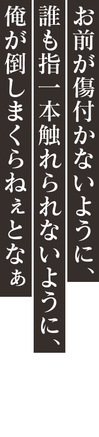 「お前が傷付かないように、誰も指一本触れられないように、俺が倒しまくらねぇとなぁ」