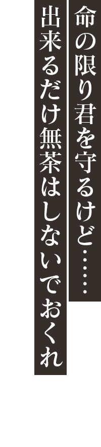 「命の限り君を守るけど……出来るだけ無茶はしないでおくれ」